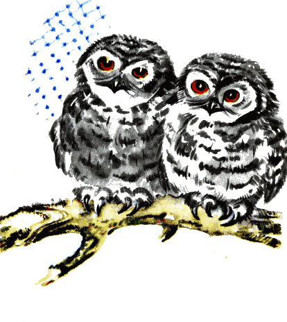 совята кп заповедник екатеринбург. милые совы. милая сова. взгляни на маленьких совят. маленькие совята.